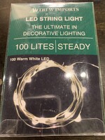 LED 100 Warm White Micro Light with Timer * 3' Long