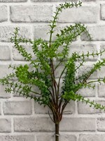 Tri W Imports Green Stone Crop Bush * 19.5"