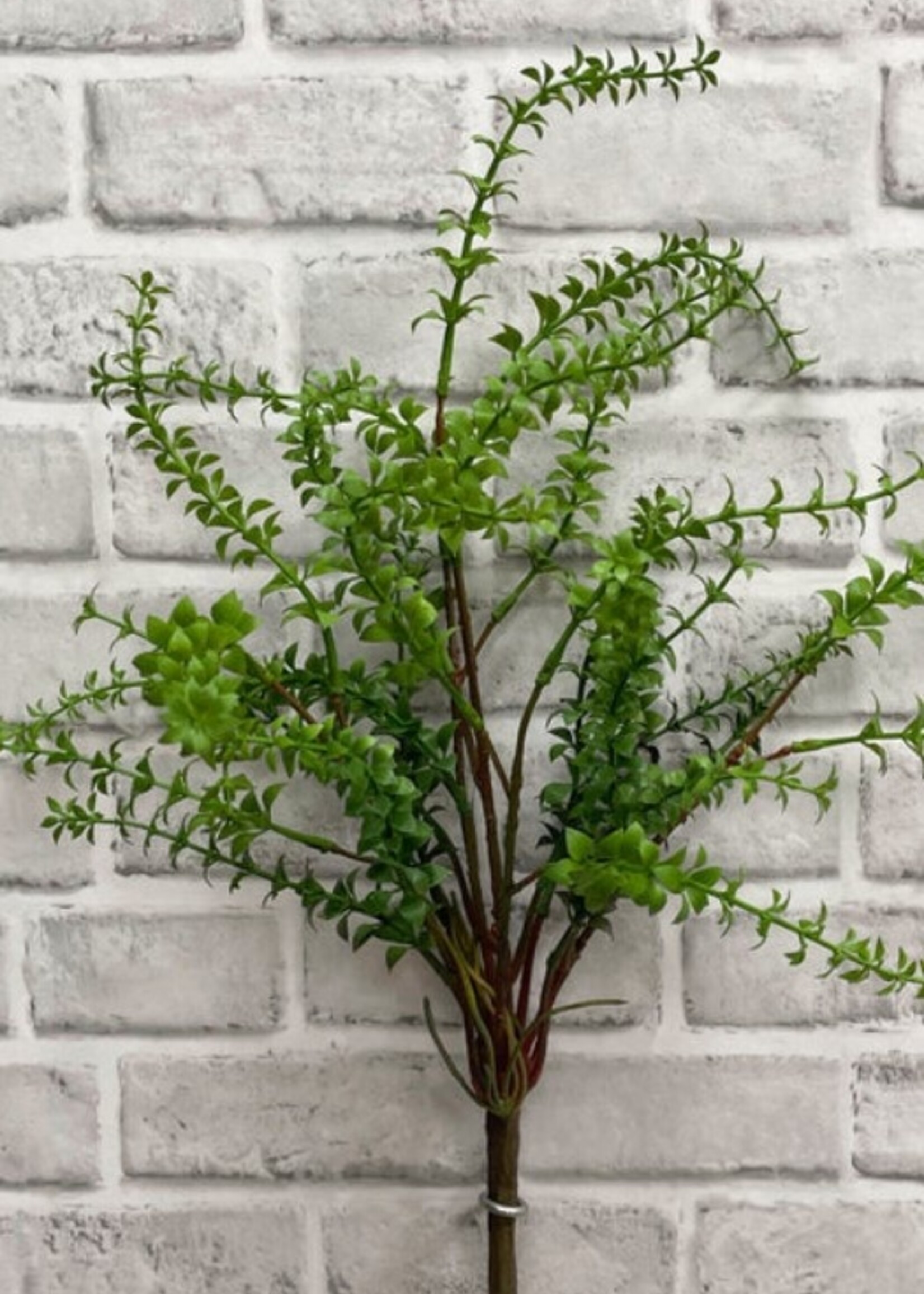 Tri W Imports Green Stone Crop Bush * 19.5"