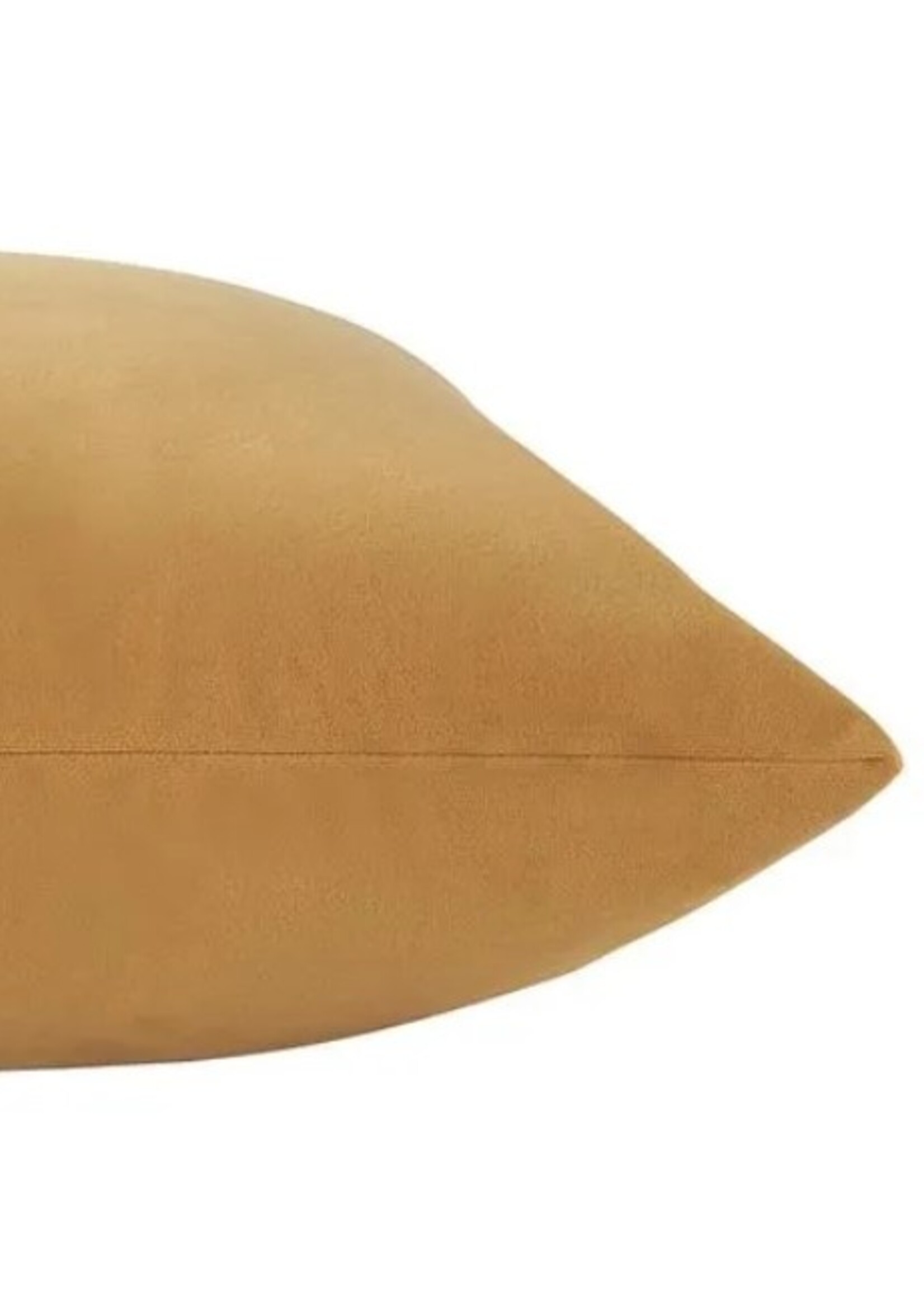 Renwil Jonquil Toss Pillow * 20" x 20"