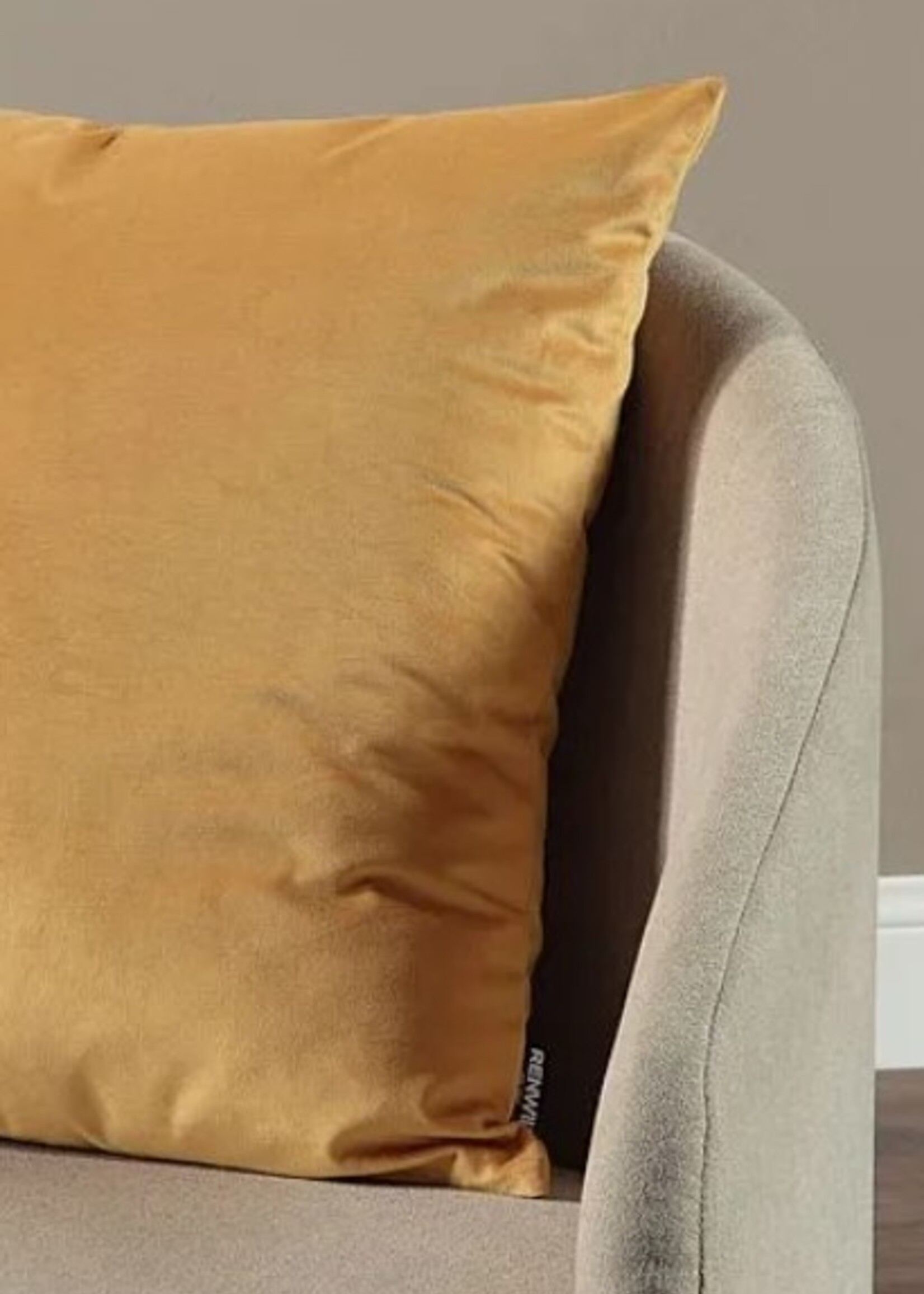 Renwil Jonquil Toss Pillow * 20" x 20"