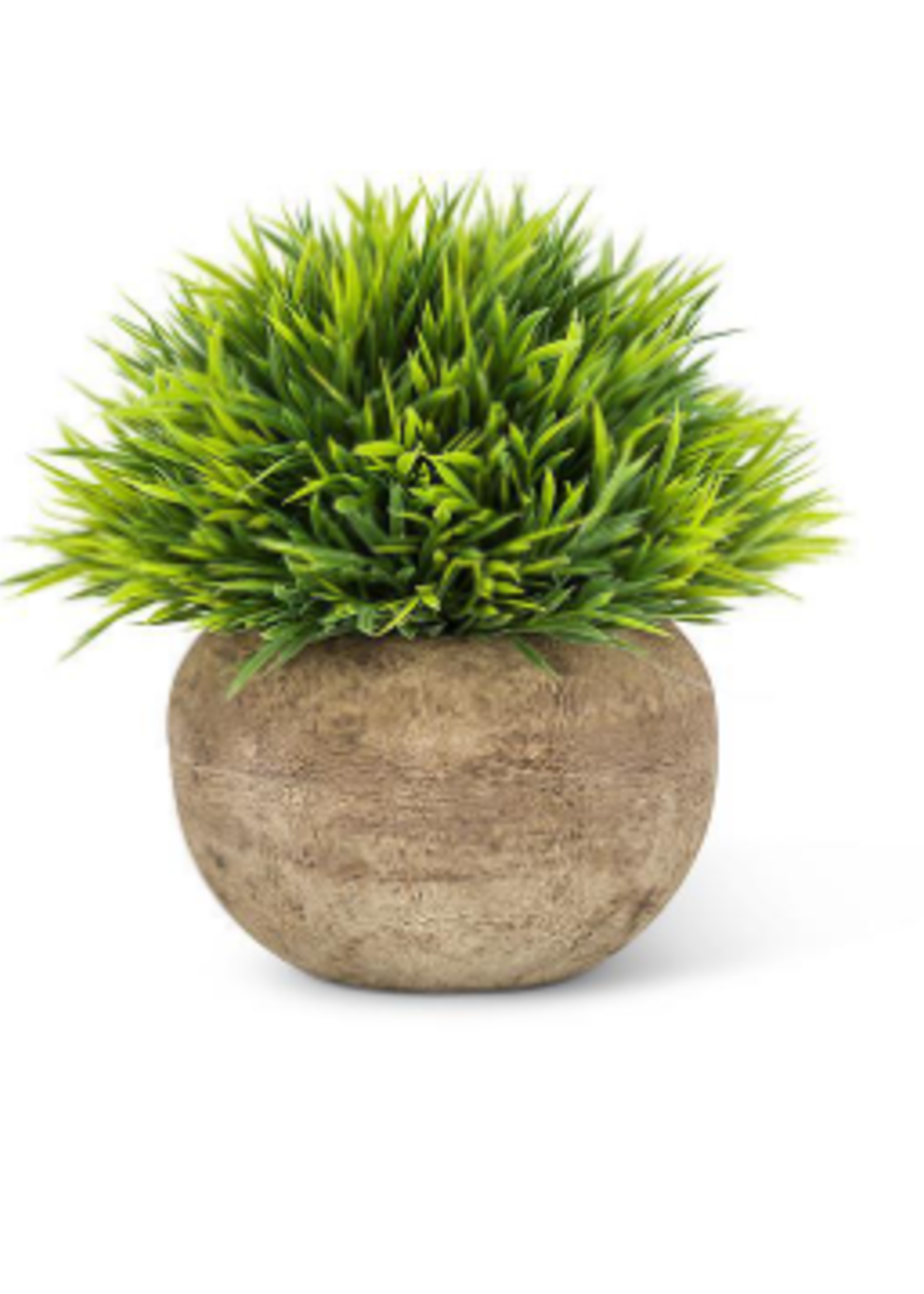 Abbott Woodhill Grassy Plant * 5"H