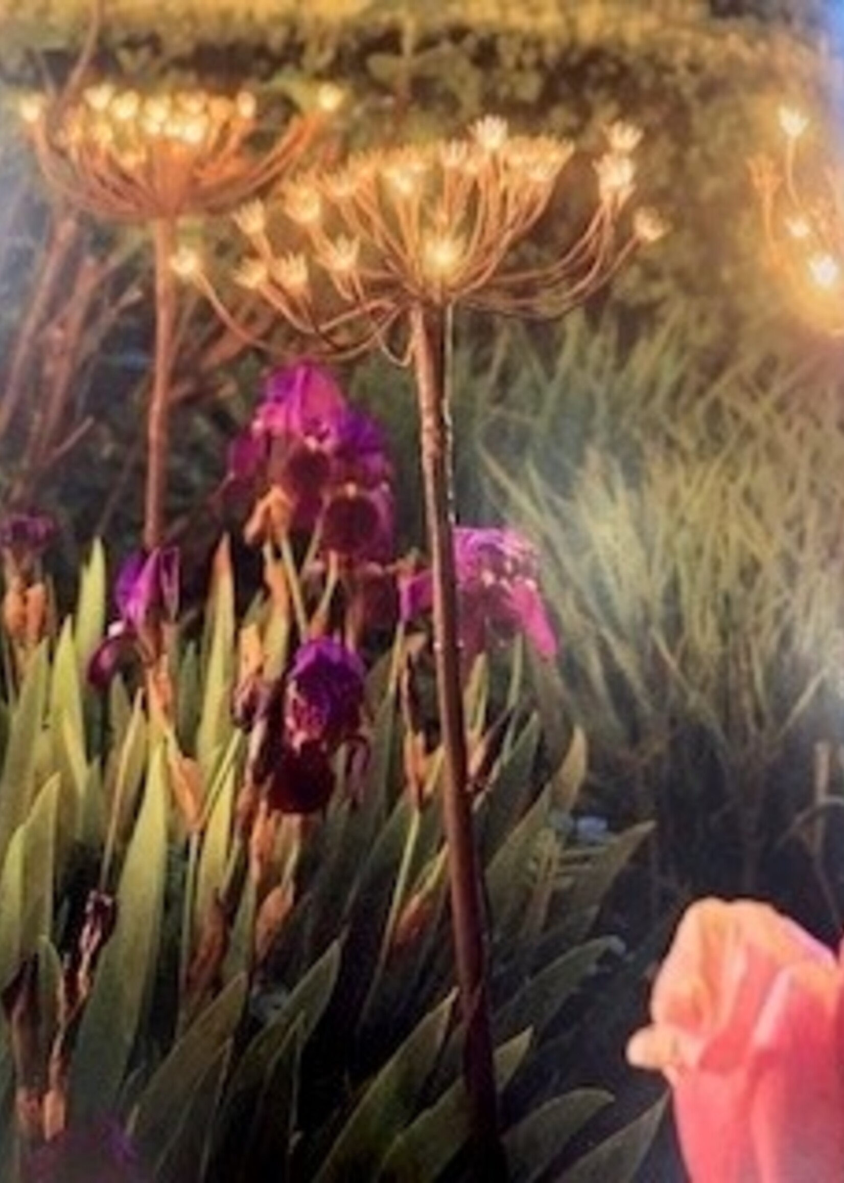 Lumina of London LED Solar Wild Fennel