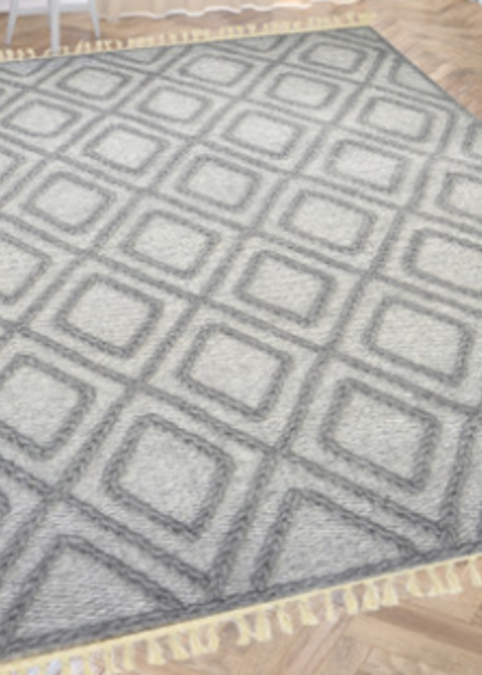 Fabstyles Gazali Area Carpet * 60" x 90" * Silver