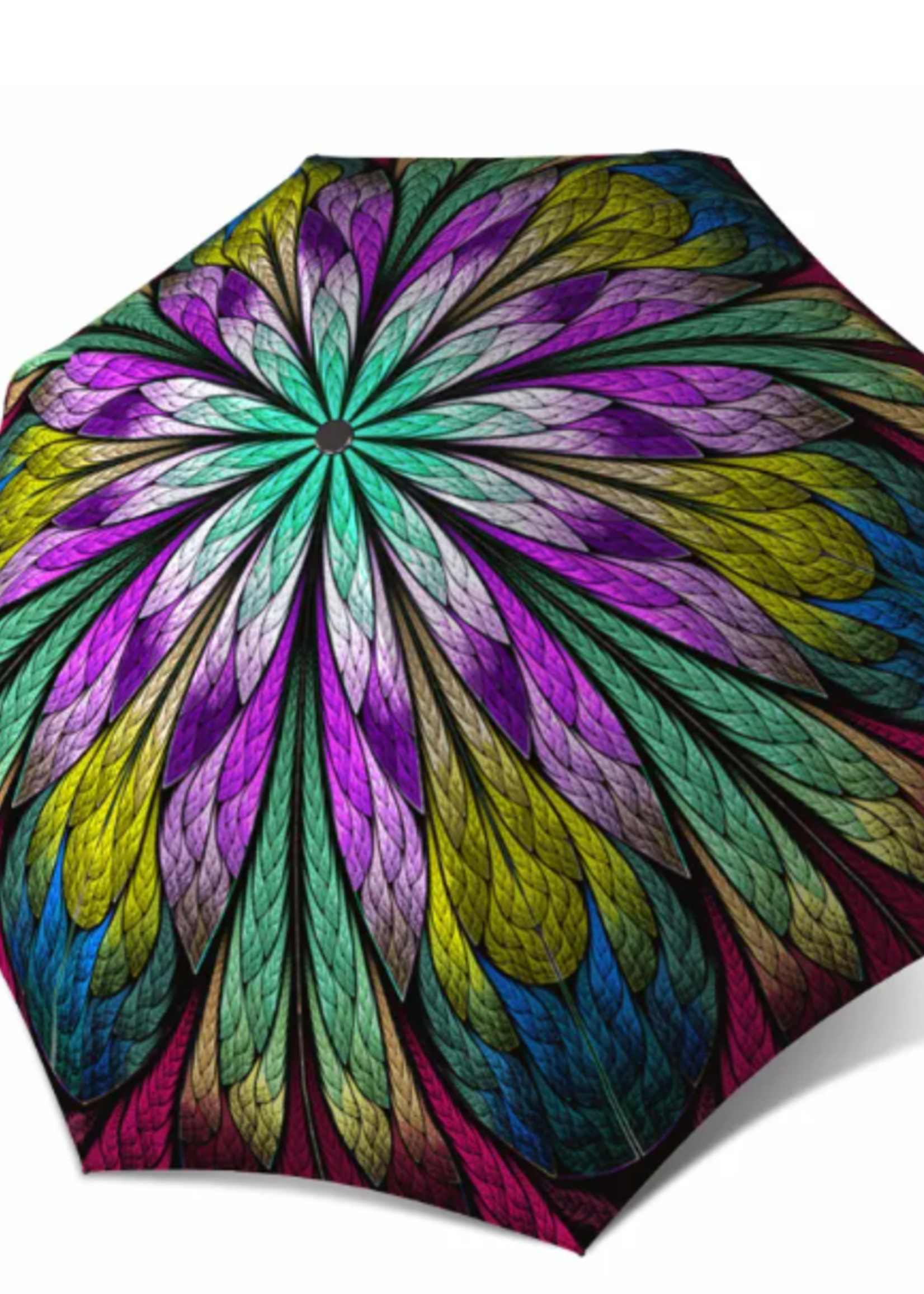 La Bella Umbrella LaBella Umbrella * Automatic * Dragonfly