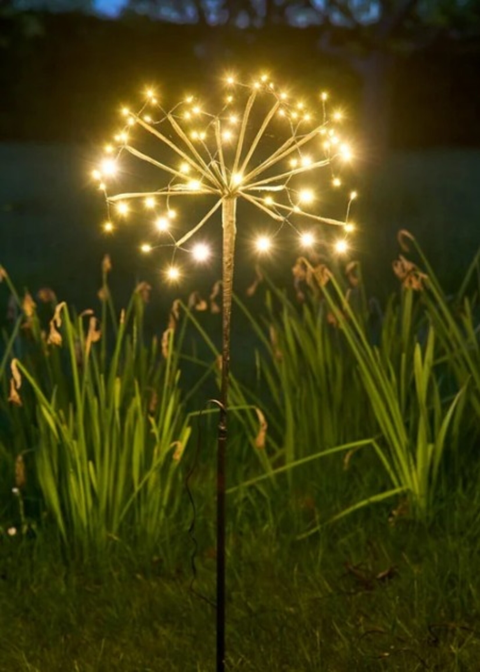 Lumina of London Solar Dandelion Light * 96 LED