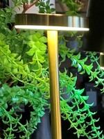 Harman Tribute LED Touch Lamp * Gold