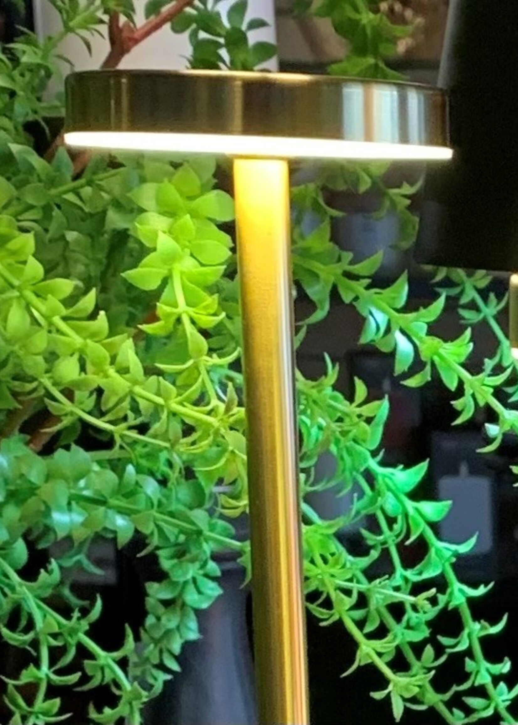 Harman Tribute LED Touch Lamp * Gold