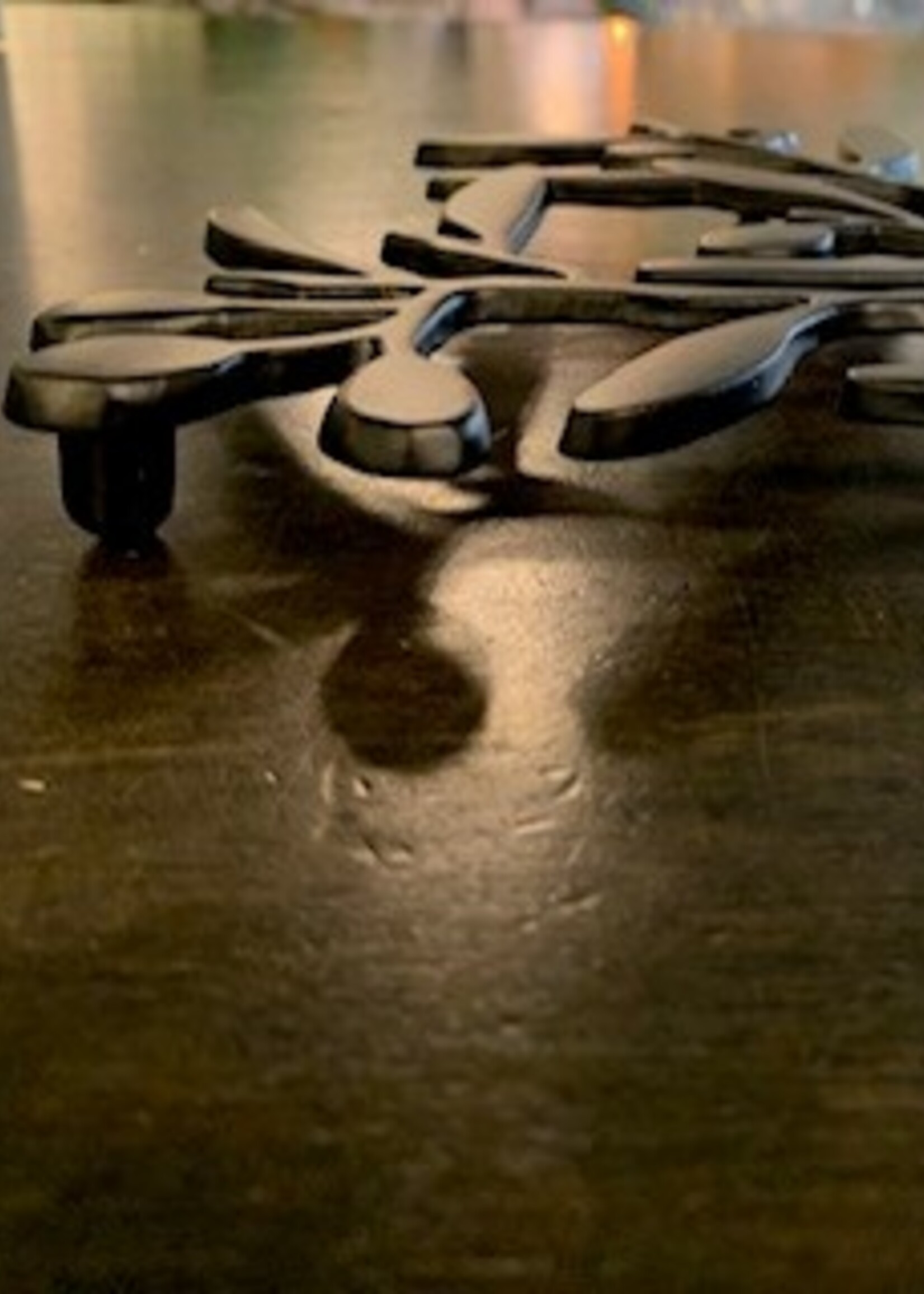 Danica Trivet * Black Metal