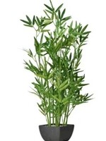 Torre & Tagus Potted Bamboo * 30"
