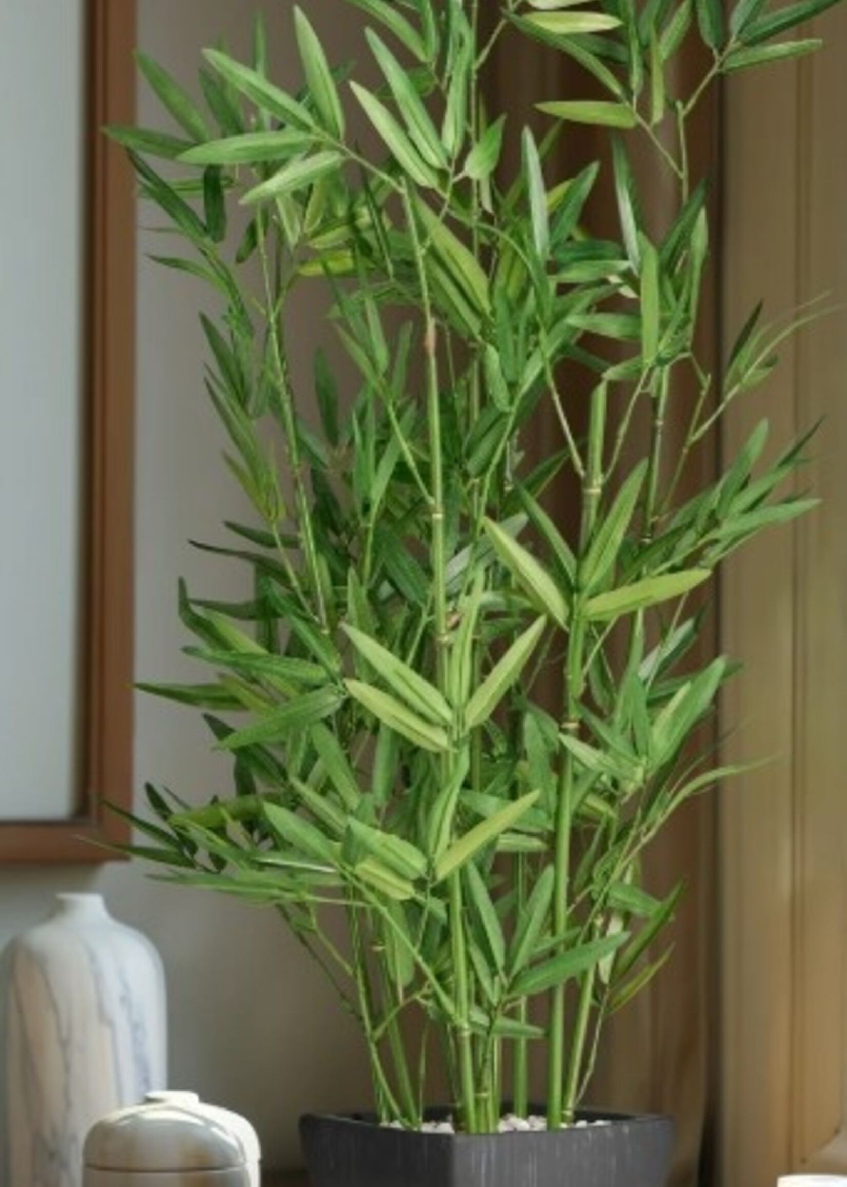 Torre & Tagus Potted Bamboo * 30"