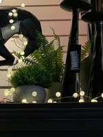 Lumina of London Snowberry Lights * 100 Warm White * 8'