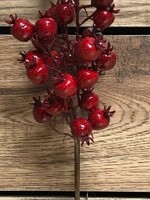 Tri W Imports Red Berry Spray * 18" * Outdoor