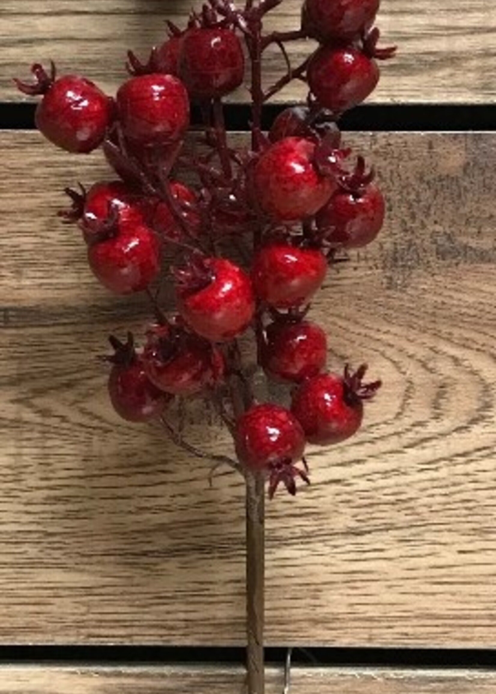 Tri W Imports Red Berry Spray * 18" * Outdoor