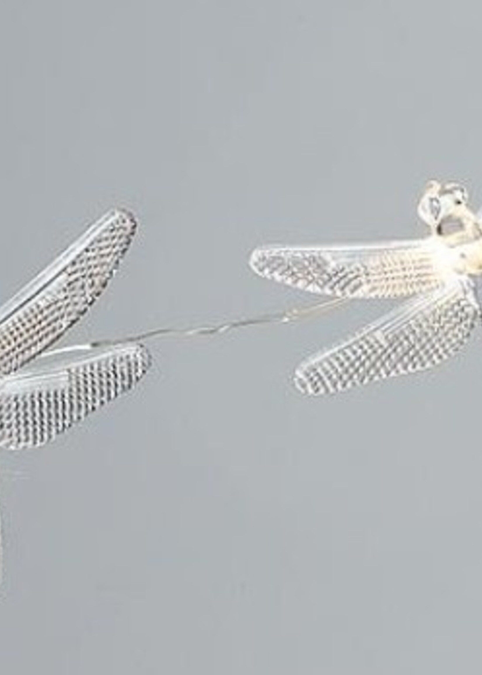 Abbott Dragonfly 10L LED String Lights * 100" Long