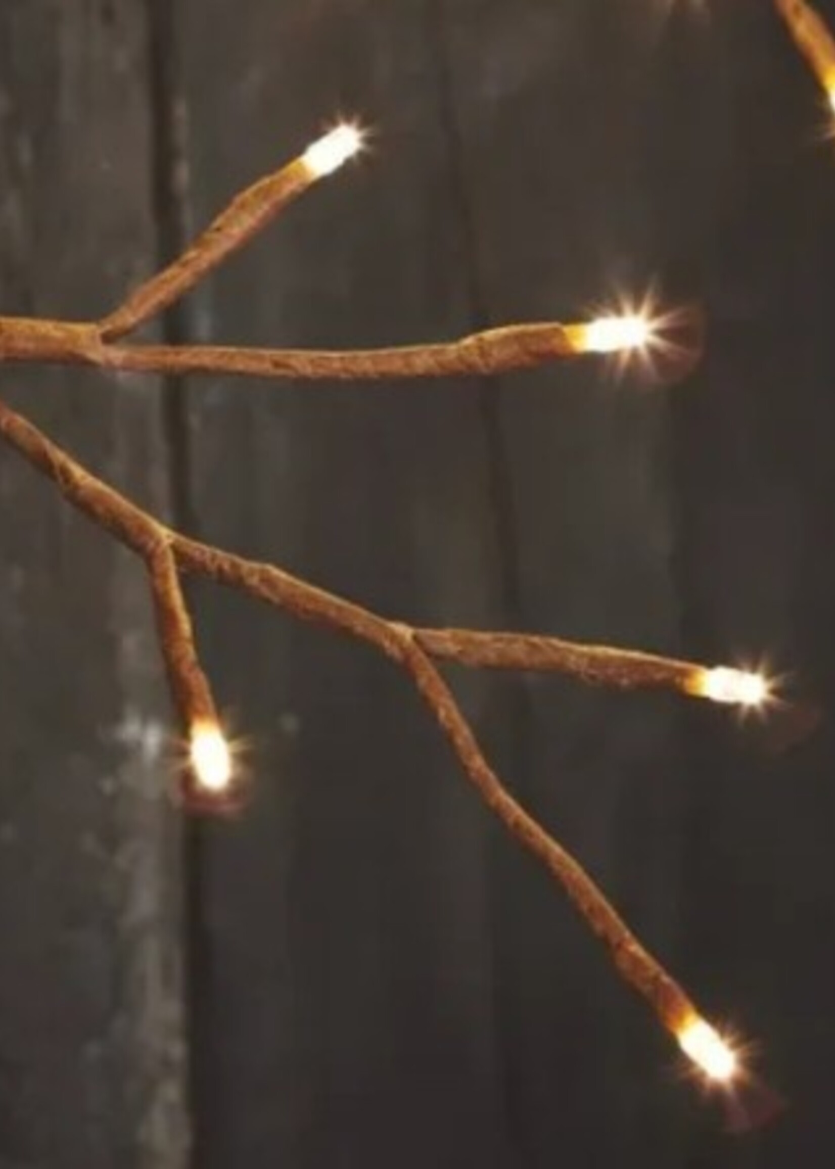 Lumina of London Ivy Lights * Solar & Plug In * Indoor/Outdoor