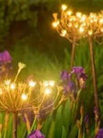 Lumina of London Wild Fennel * Solar & Battery * 15 LED Lights