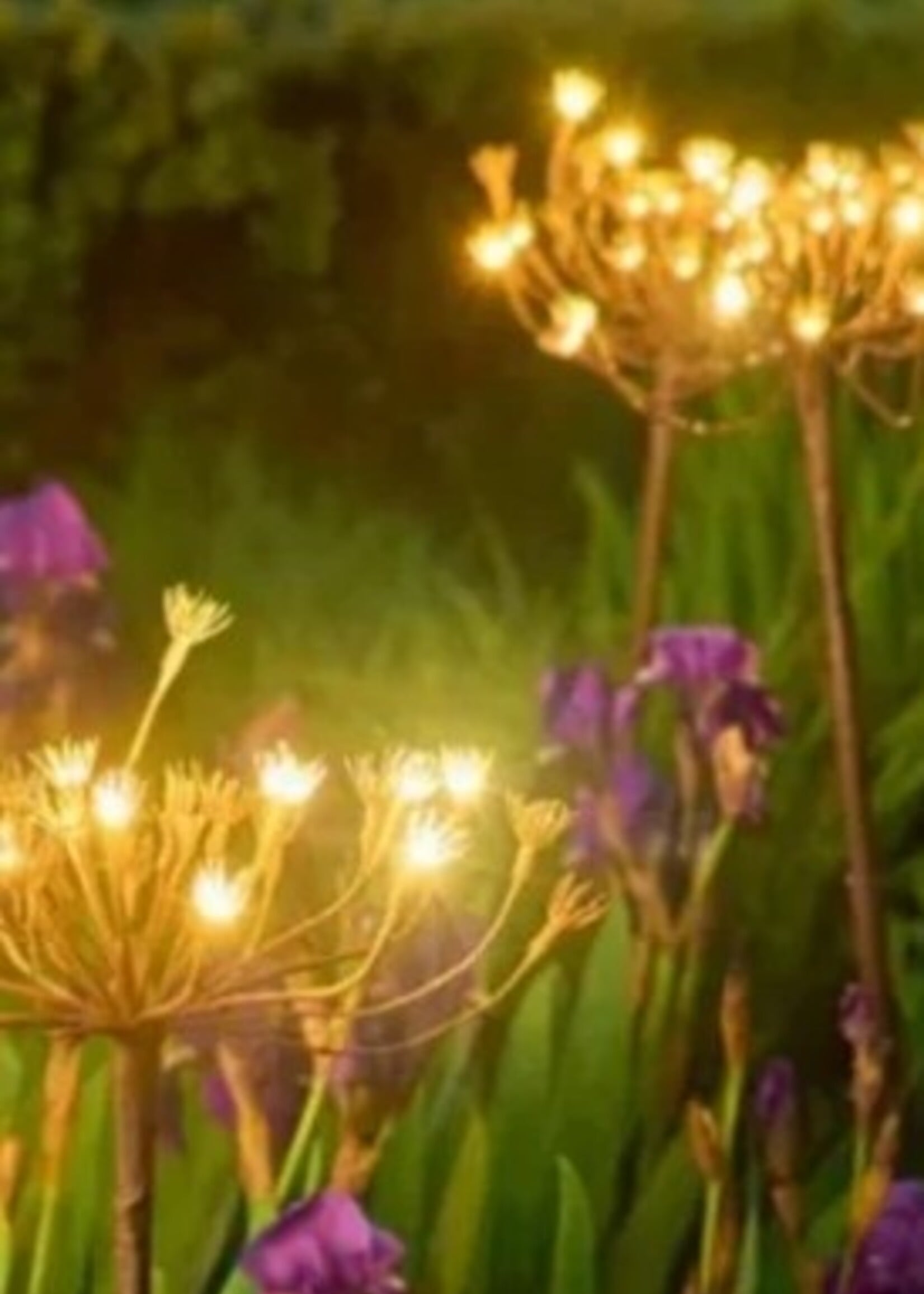 Lumina of London Wild Fennel * Solar & Battery * 15 LED Lights