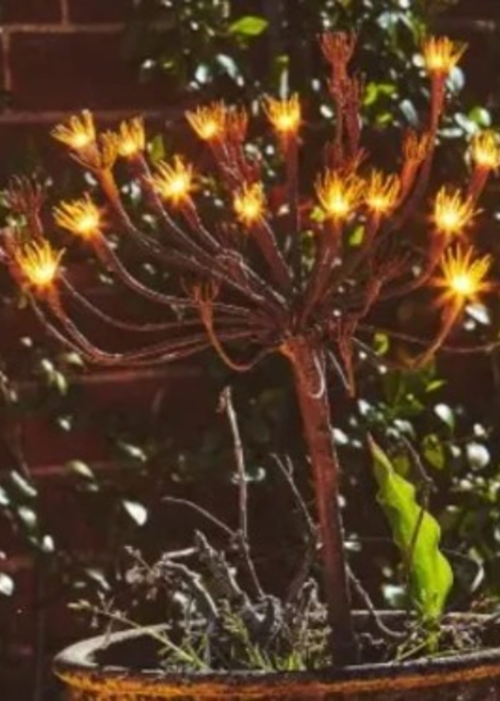 Lumina of London Wild Fennel * Solar & Battery * 15 LED Lights