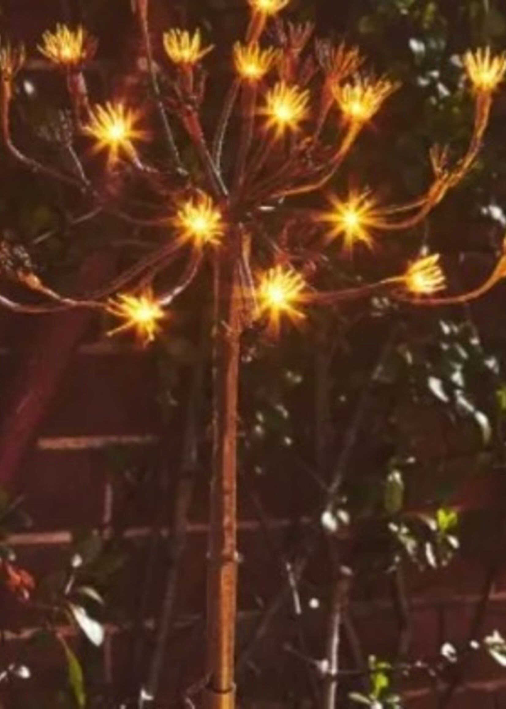 Lumina of London Wild Fennel * Solar & Battery * 15 LED Lights