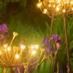 LED & Miniature Light Decor