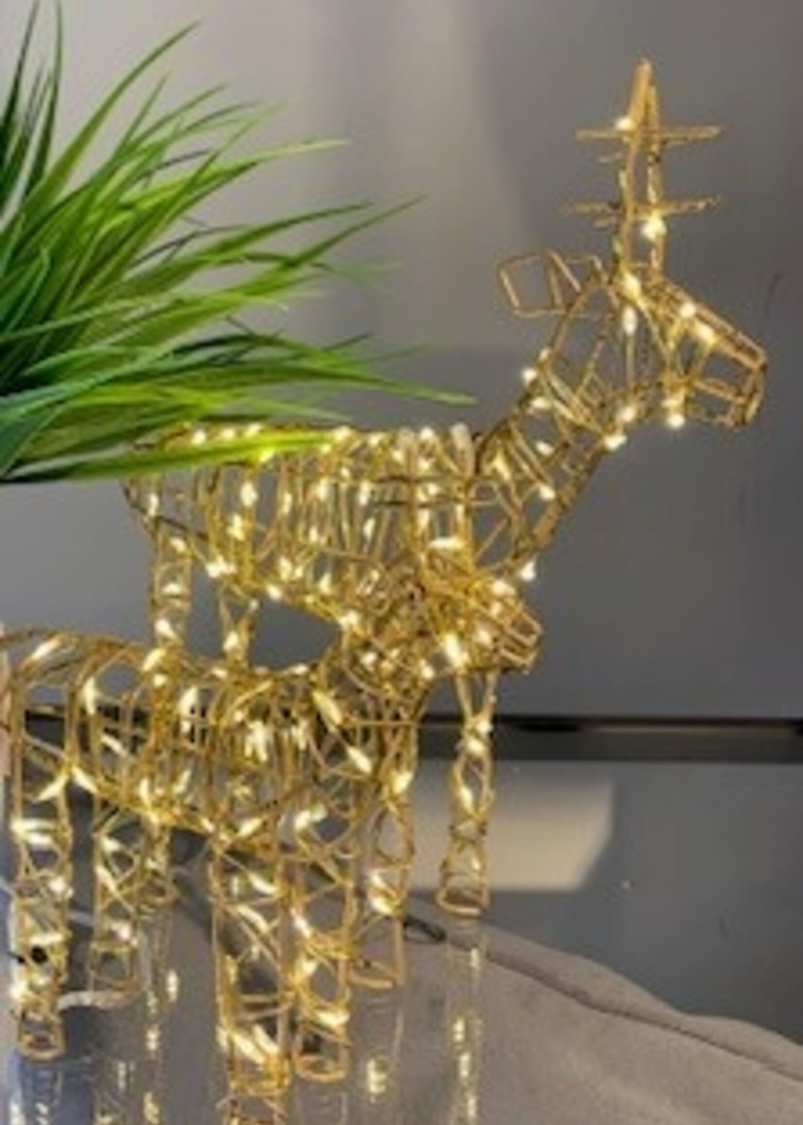 Lumina of London LED Wire Reindeer * 6" H * 53 Warm White LED's * Gold