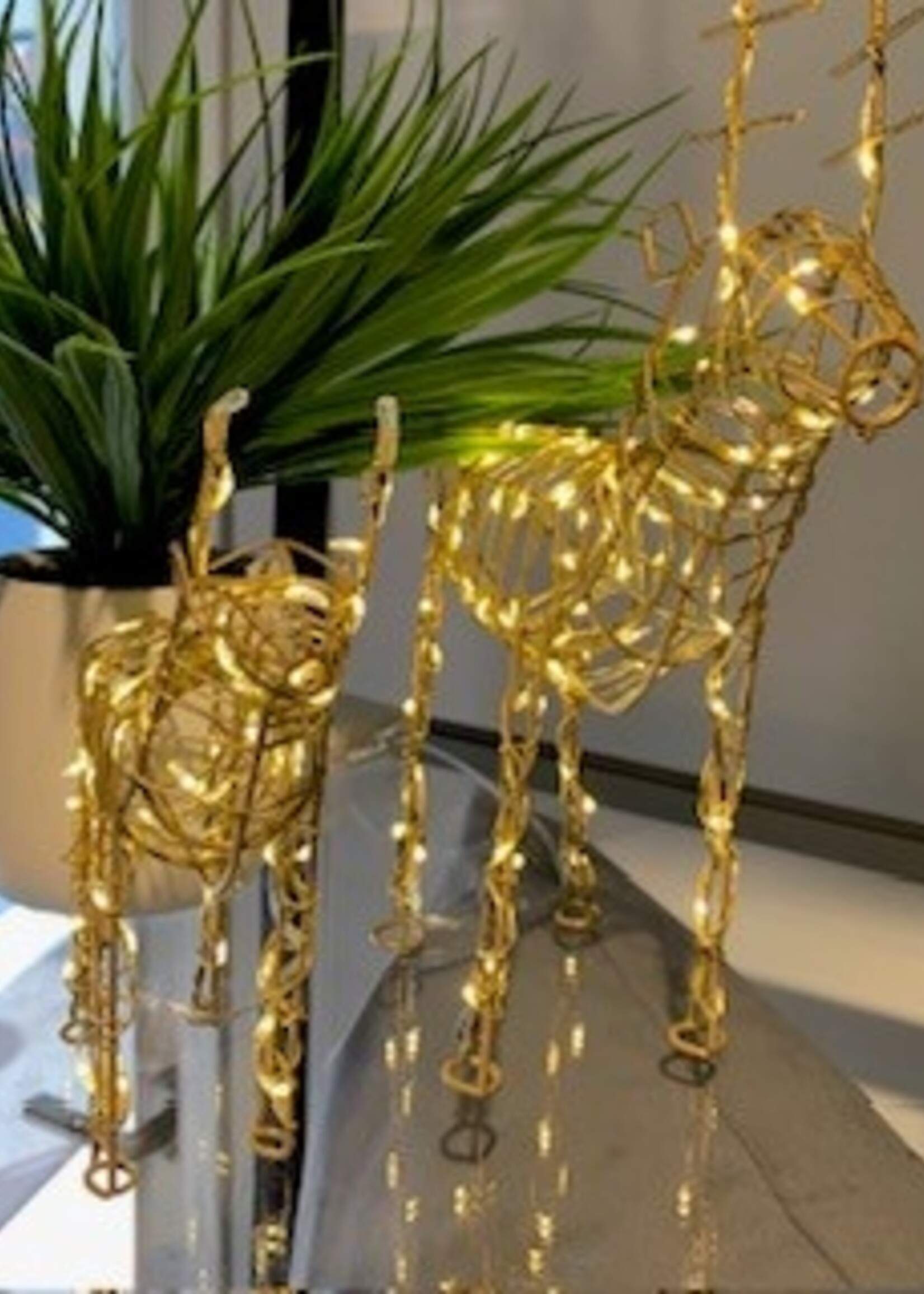 Lumina of London LED Wire Reindeer * 90 Warm White LED's * 10" H * Gold