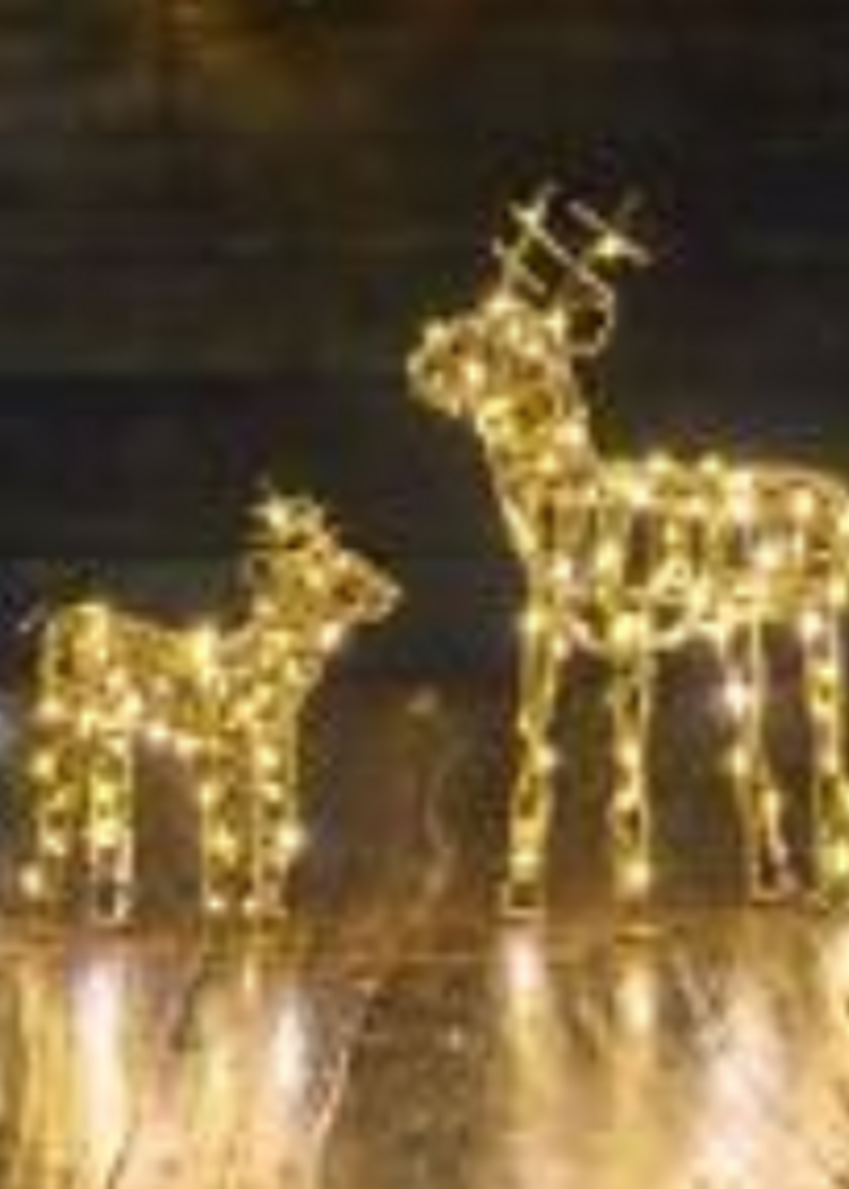 Lumina of London LED Wire Reindeer * 6" H * 53 Warm White LED's * Gold