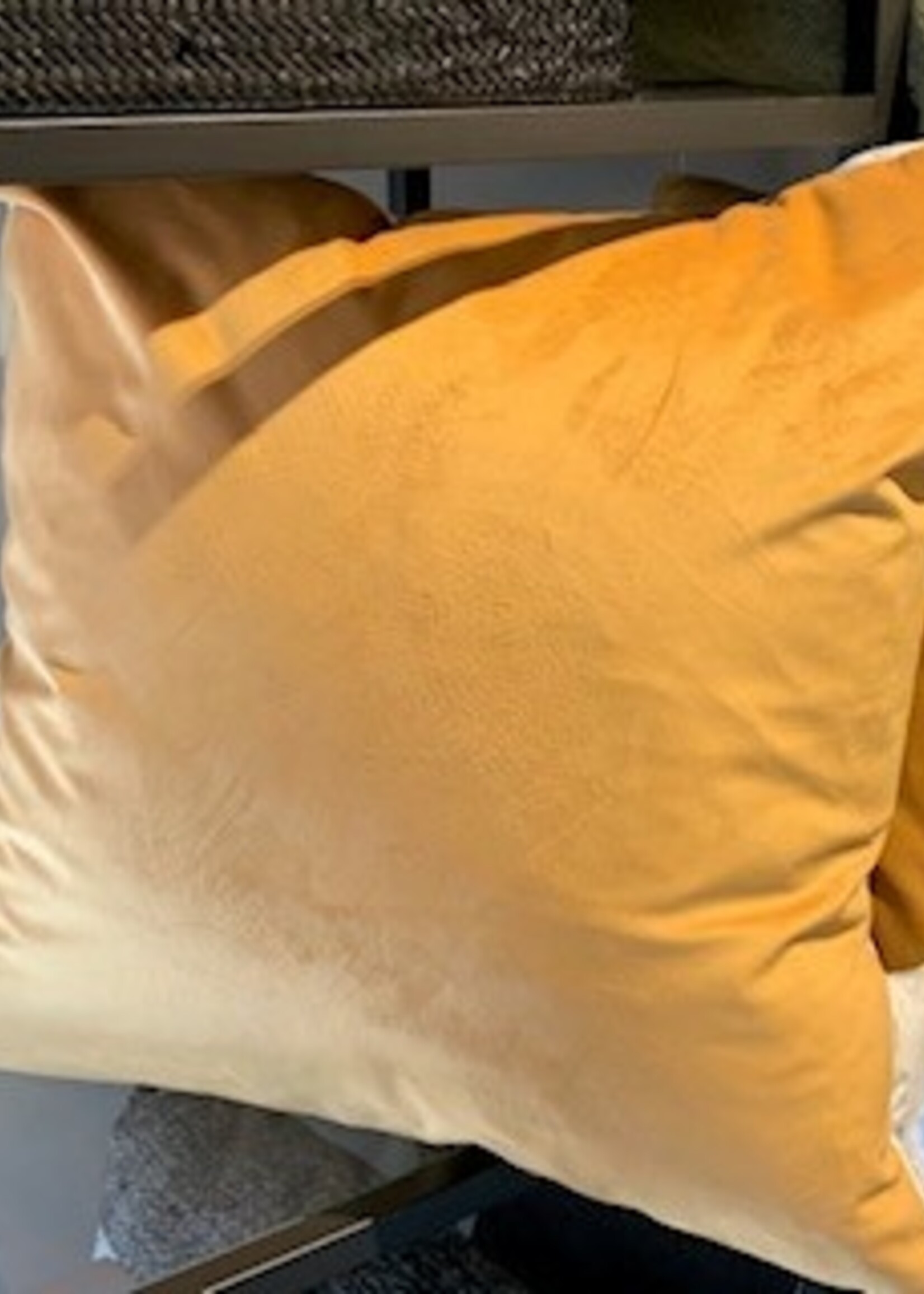 Renwil 20" x 20" Down Pillow * Gold