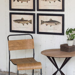 K - Home Framed Trout Fish Art Print Set of 4