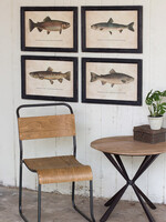 K - Home Framed Trout Fish Art Print Set of 4