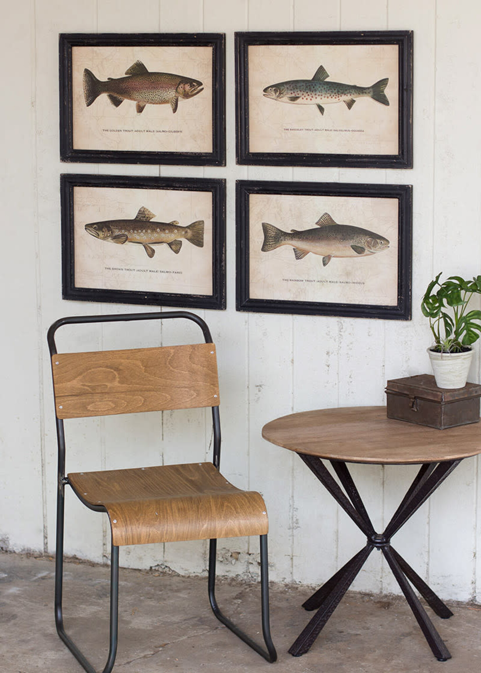 K - Home Framed Trout Fish Art Print Set of 4