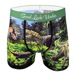 Good Luck Socks Dinosaur Valley Boxers