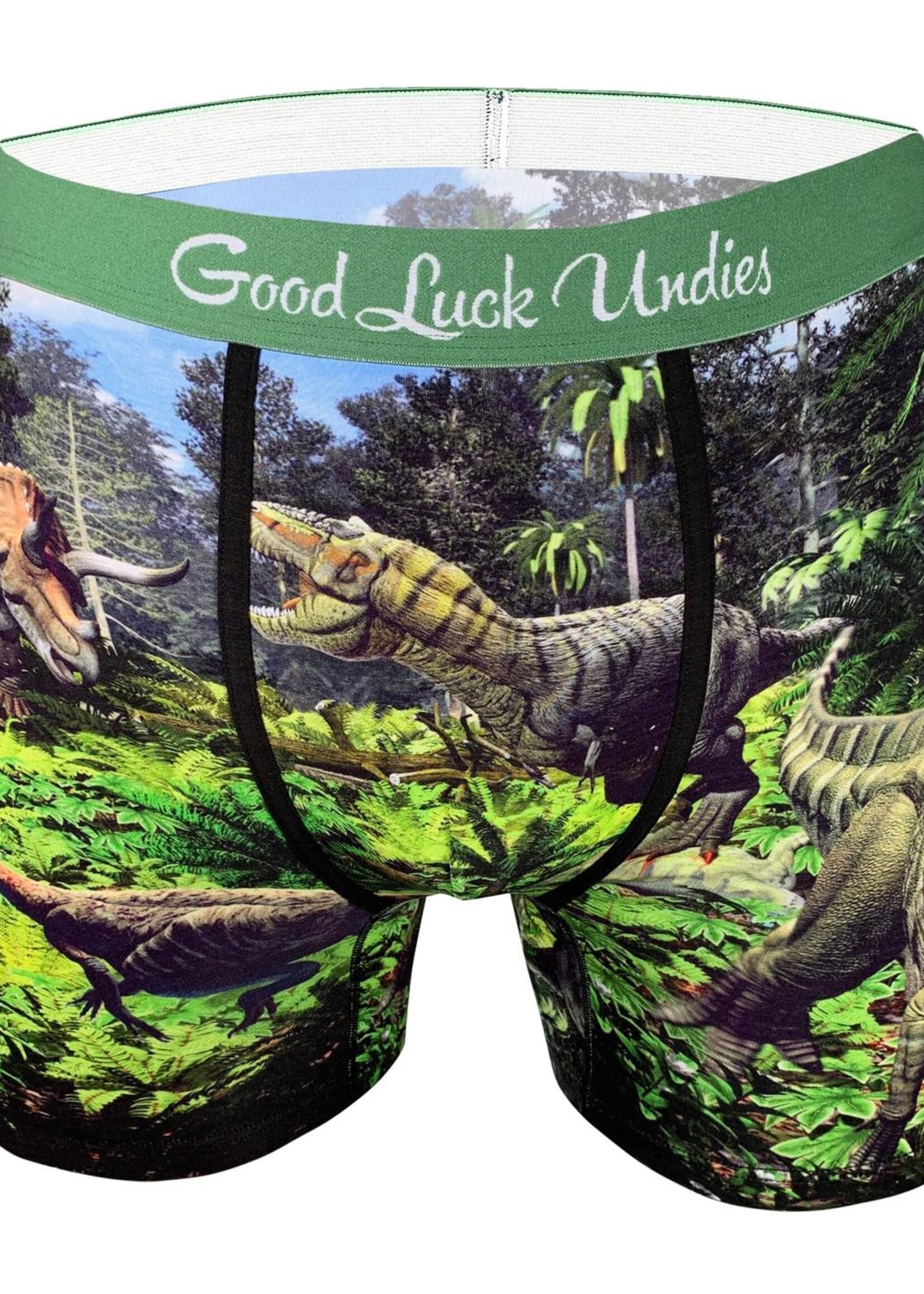 Good Luck Socks Dino Valley Boxers