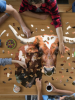 Longhorn shaped puzzle 550pc