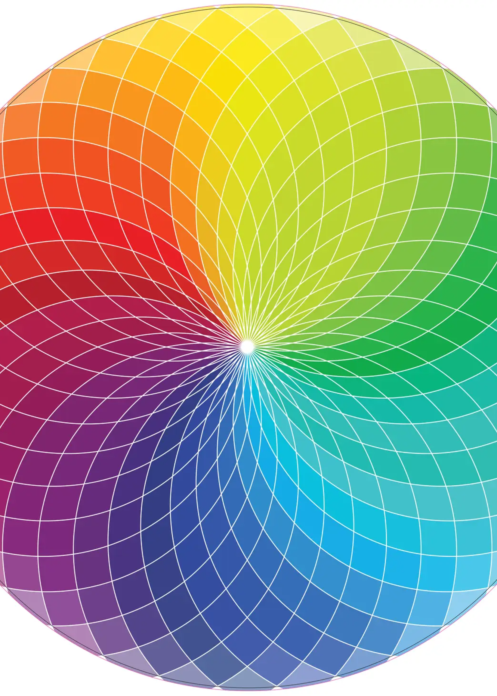 Color Wheel Puzzle 1000pc
