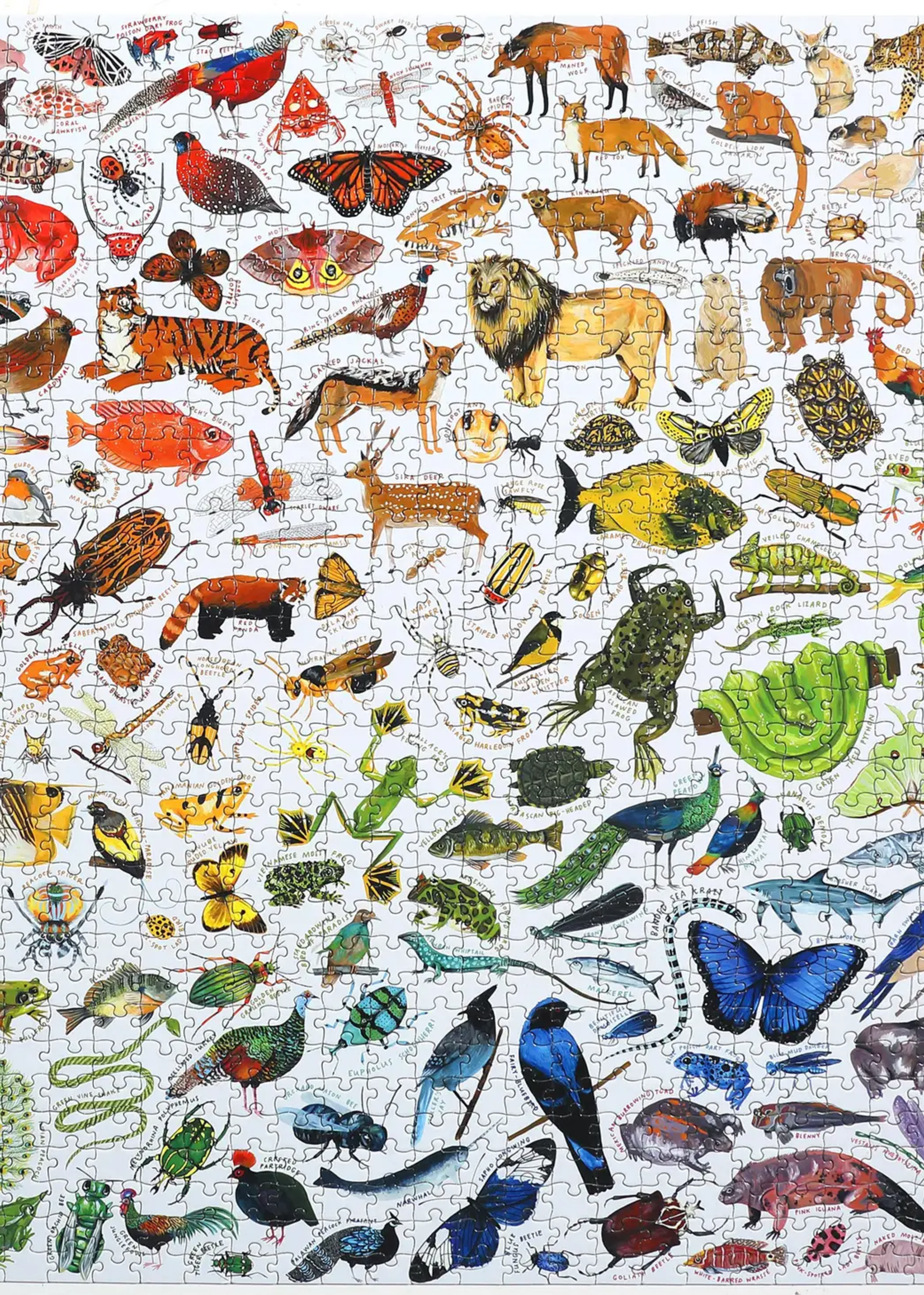 eeBoo Rainbow World 1000pc puzzle