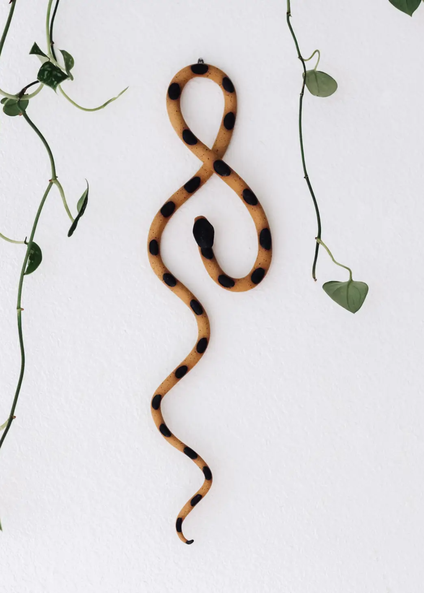 Wall Snake - large