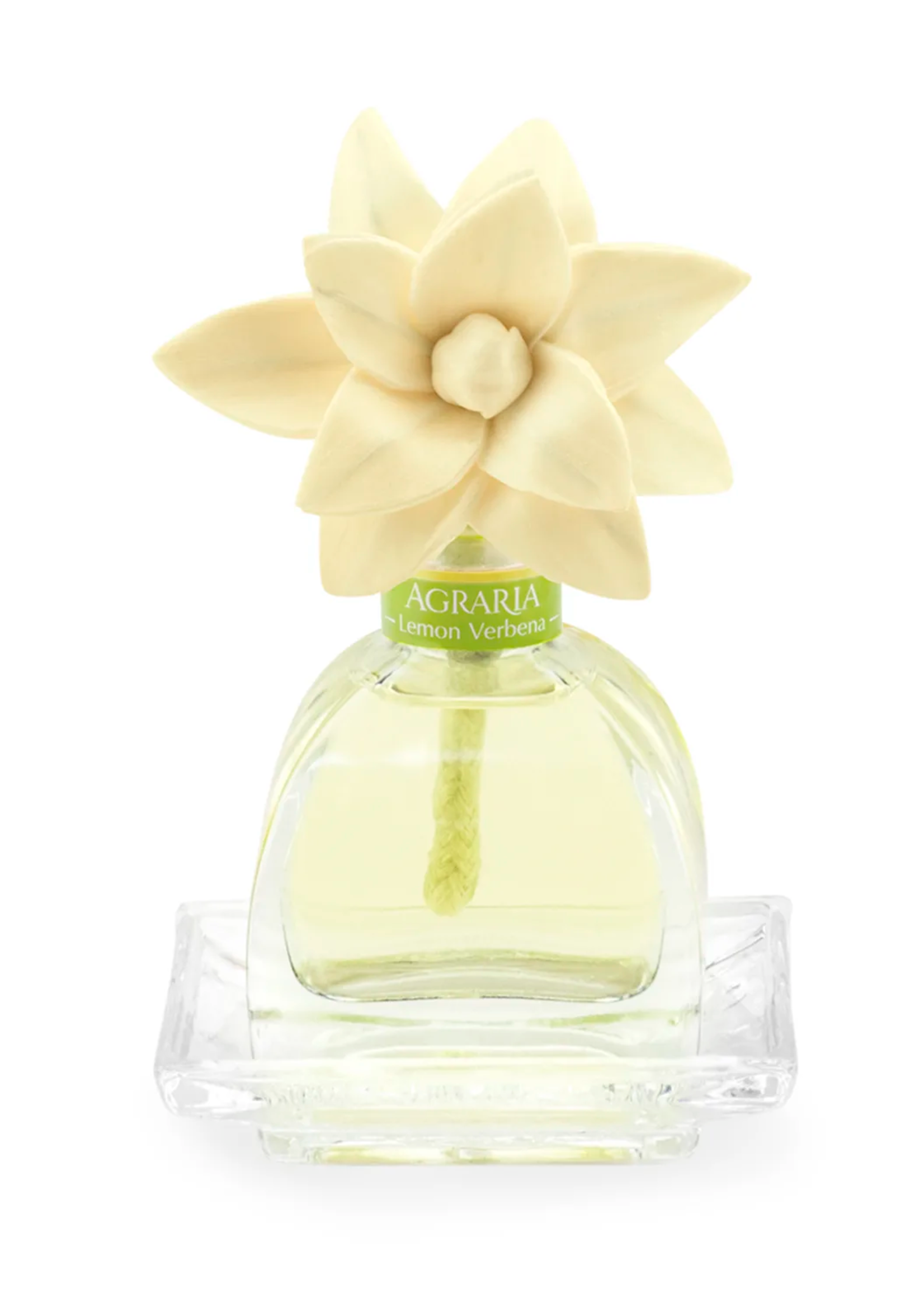 Agraria Agraria Petite Diffuser Nob Hill Set