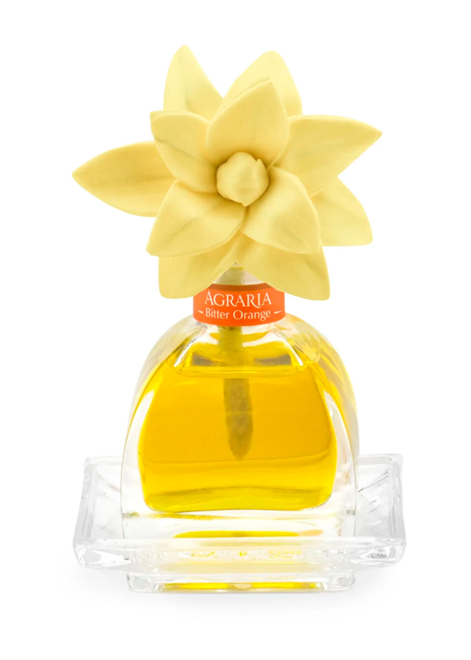 Agraria Agraria Petite Diffuser Nob Hill Set