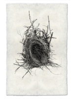 Barloga Studios 9x14 Art Prints