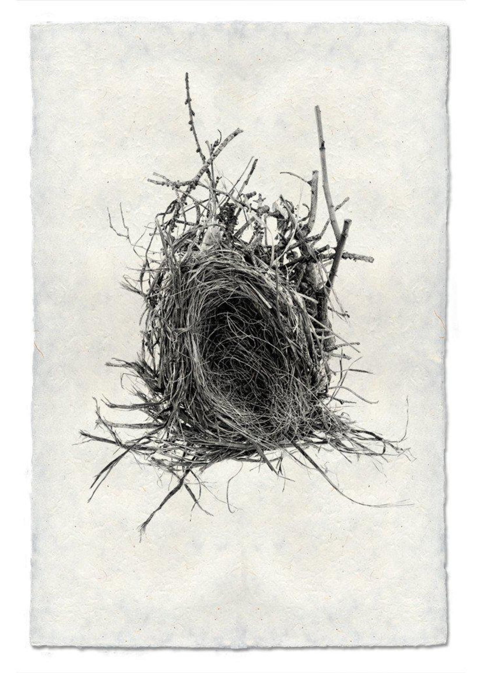Barloga Studios 9x14 Art Prints