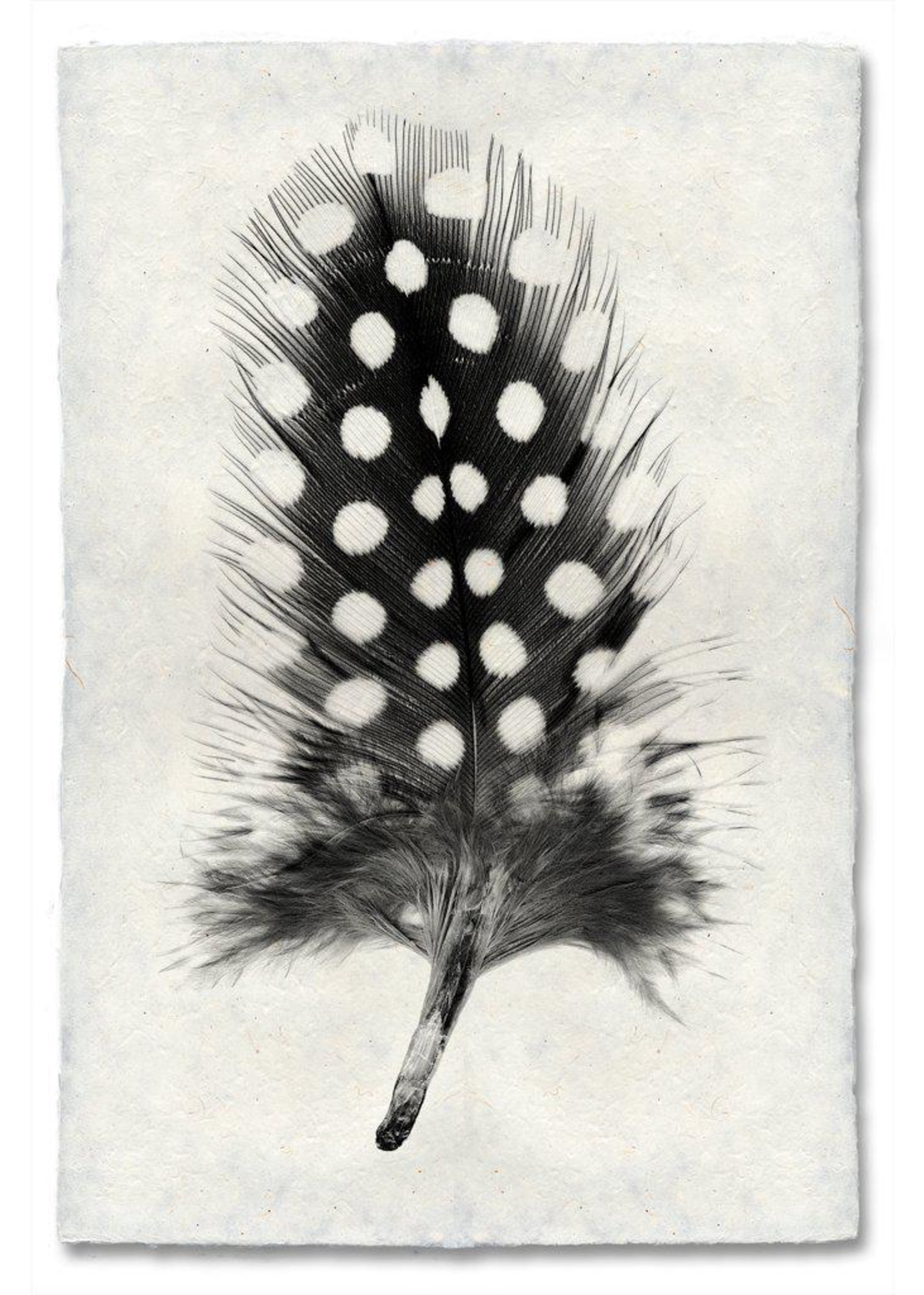 Barloga Studios 9x14 Art Prints