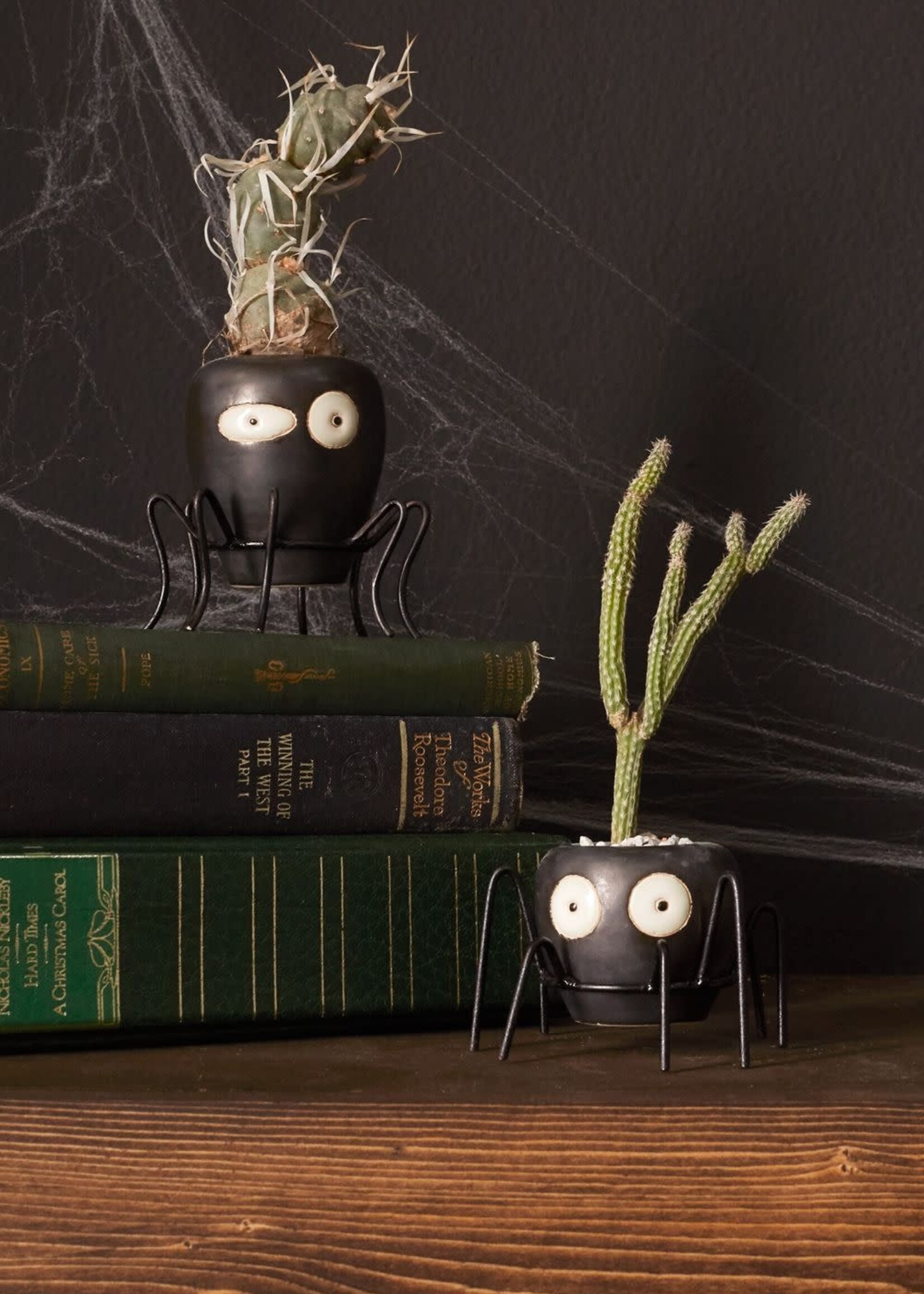 Wikki Spider Budvase Halloween
