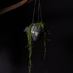 AD - Halloween Vampire Bat Hanging Pot