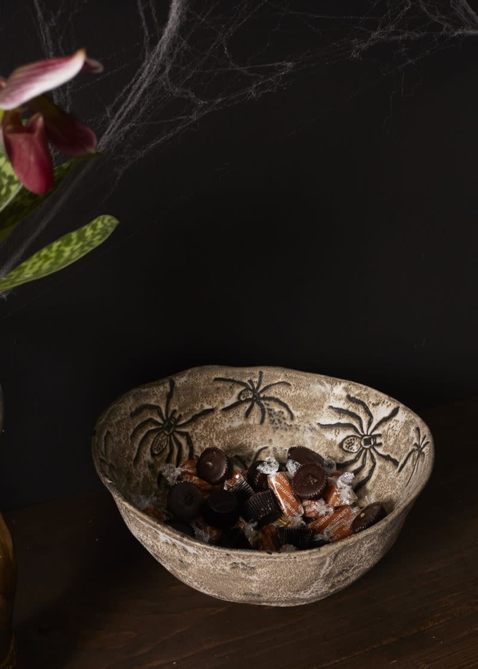 AD - Halloween Creepy Crawler Spider Bowl