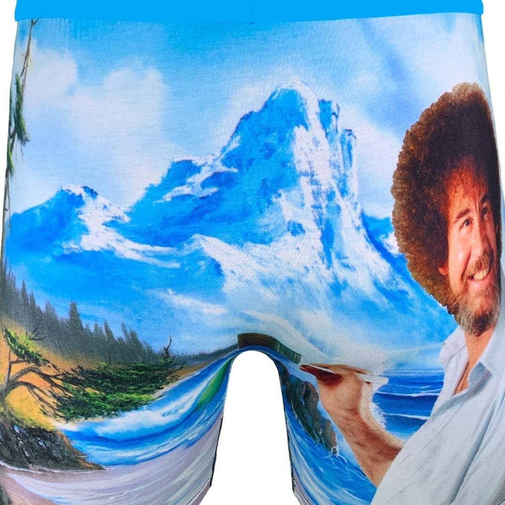 Good Luck Socks Bob Ross Boxers