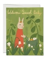 Sweet Bunny Baby Card