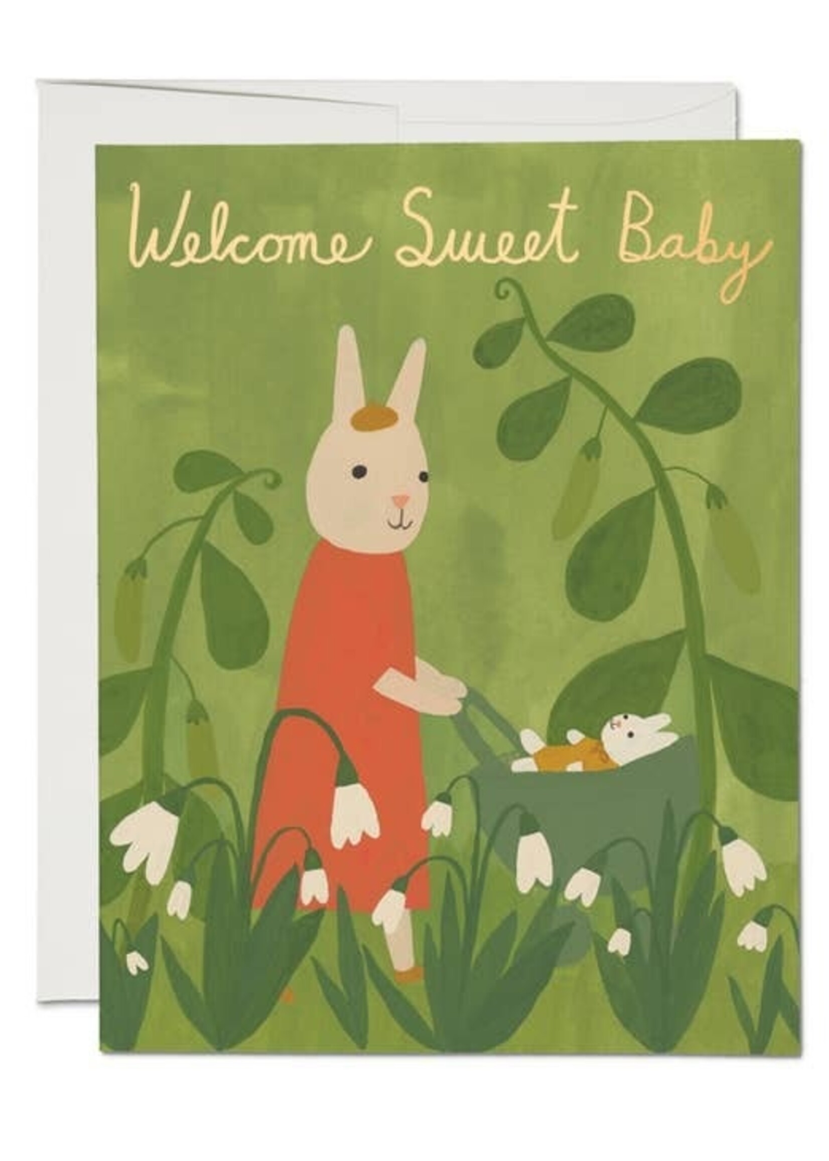 Sweet Bunny Baby Card