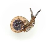 Trovelore Handmade Melting Snail Brooch Pin
